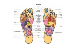 Iones-pies